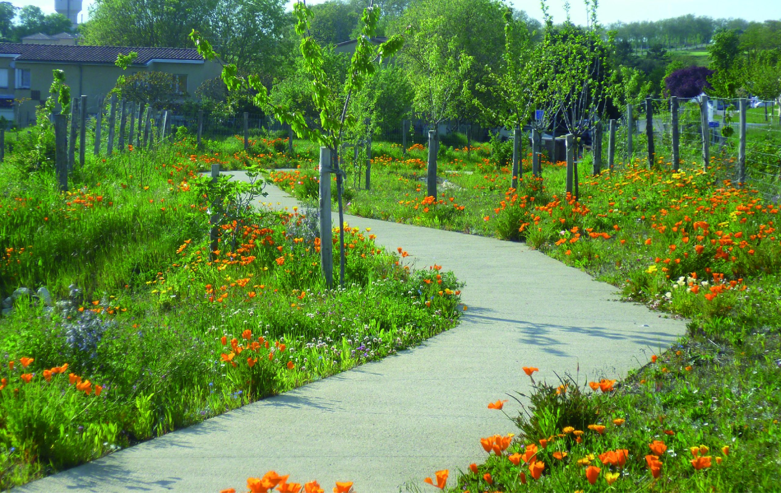 Cheminement piéton fleuri dans l’éco-quartier Bellevue