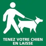 Logo Croq&rsquo;la Vie