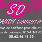 Logo Sandy Diminutifs