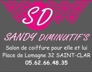 Logo Sandy Diminutifs